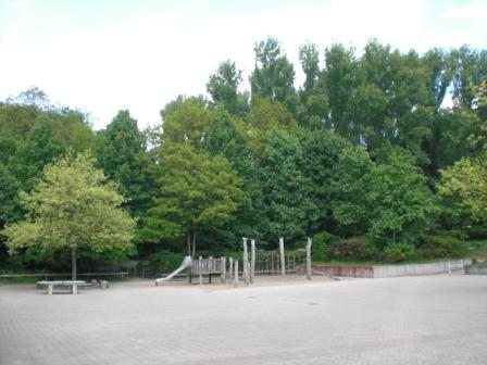 CIMG0066