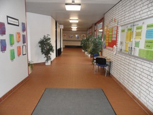 SAM_1041