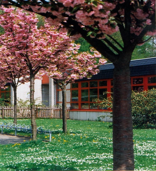 schule_im_mai__92